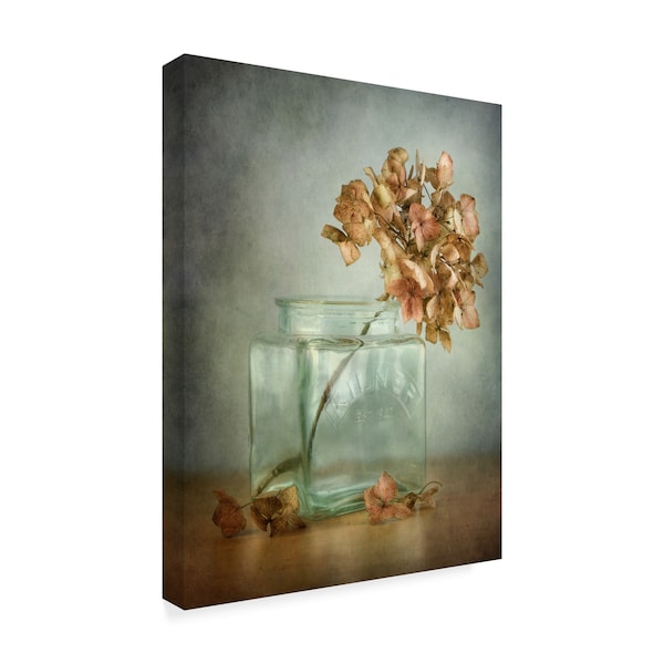 Mandy Disher 'Hydrangea Orange' Canvas Art,14x19